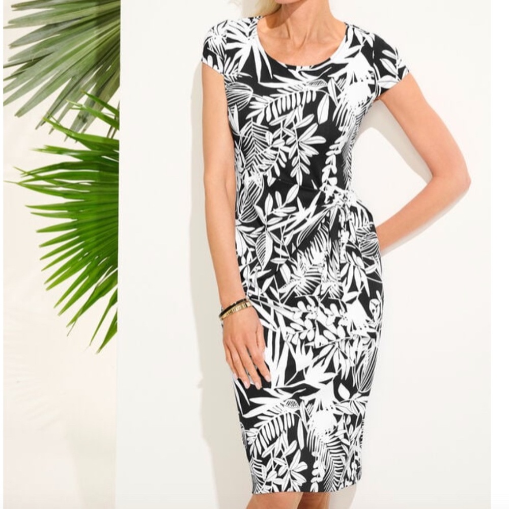 Black White Print Dress NWT Talbots Effortless Jersey Knit Sz M Knee Length Midi